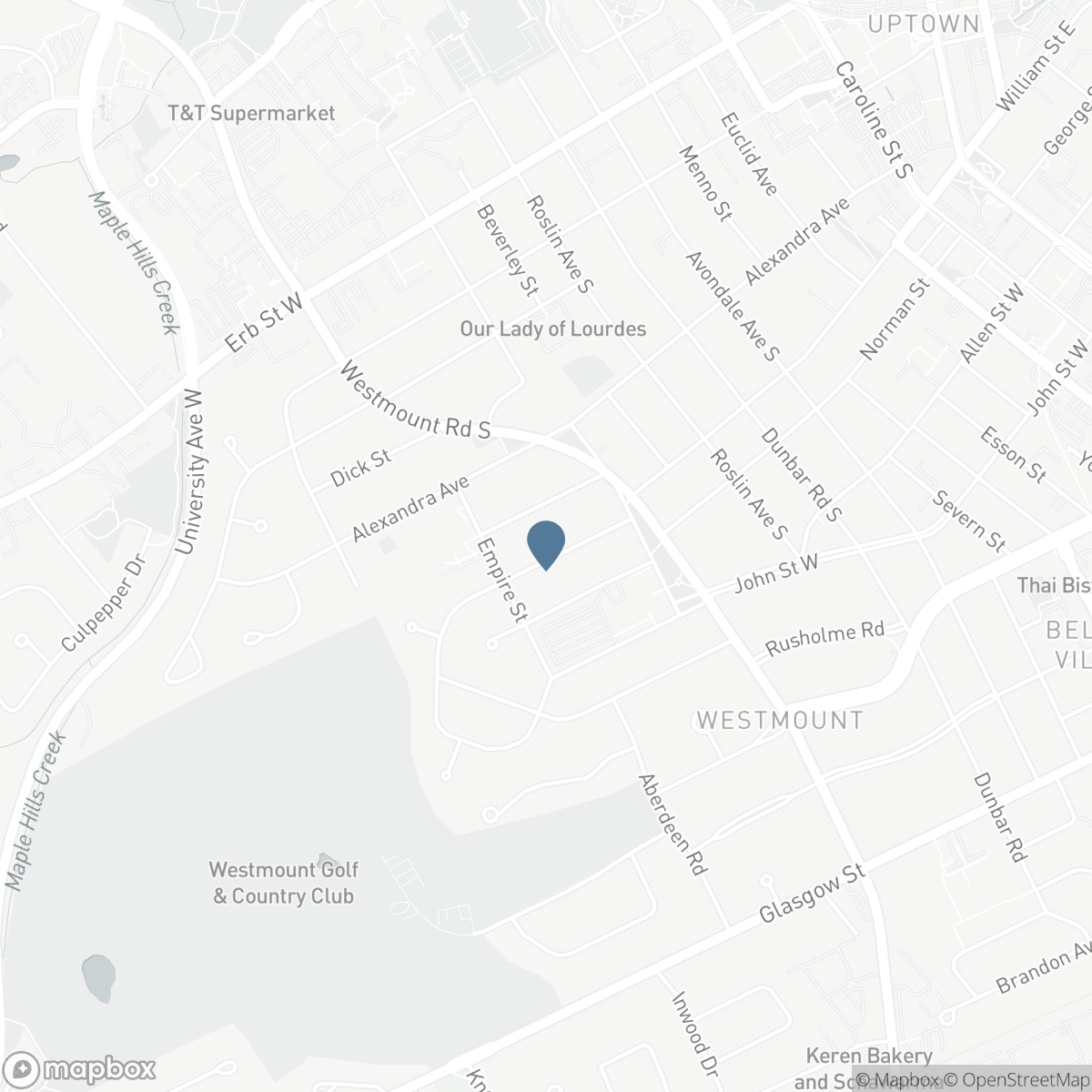 204 STANLEY Drive, Waterloo, Ontario N2L 1H4